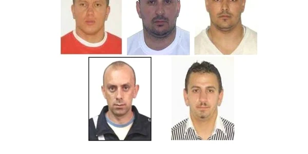 urmariti international alba