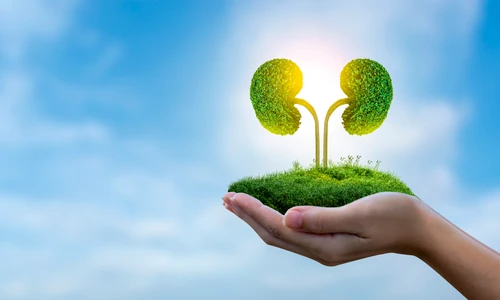 1 shutterstock 1596373153 jpg jpeg