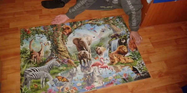 Puzzle cu 2000 de piese executat în trei zile la vârsta de 11 ani de Andrei Tudor un puşti din Teleorman Foto Arhiva personală