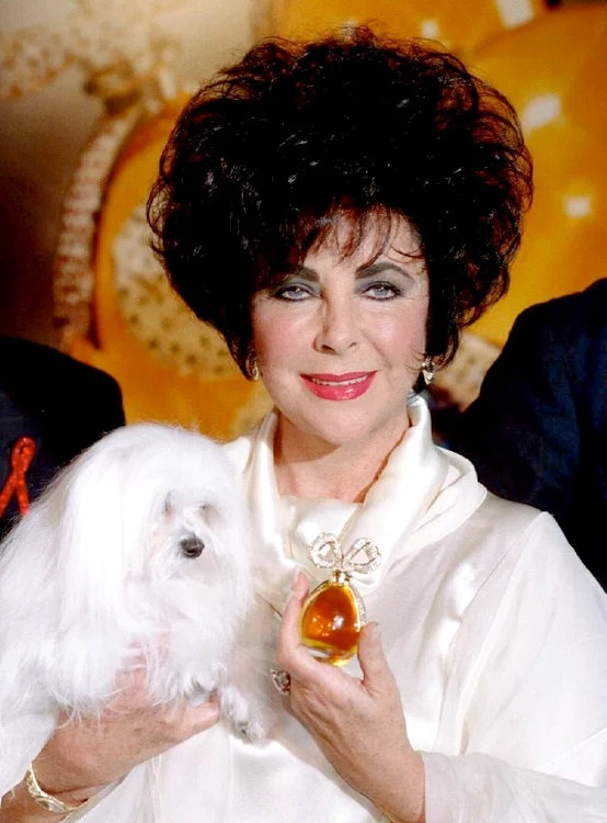 Elizabeth Taylor (Reuters)