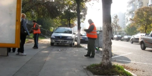 Târgu-Mureş: Curăţenie de toamnă în Aleea Carpaţi