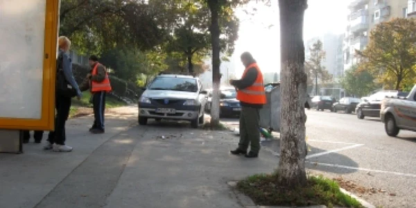 Târgu-Mureş: Curăţenie de toamnă în Aleea Carpaţi