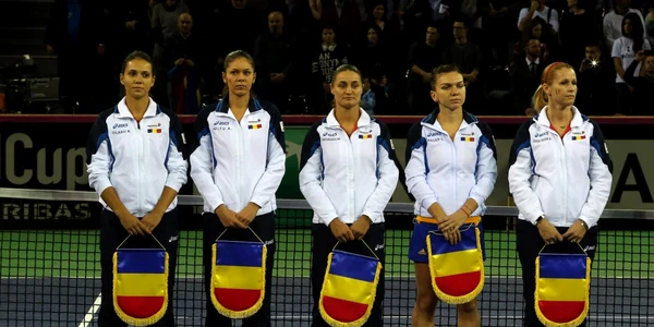 România - Cehia Fed Cup