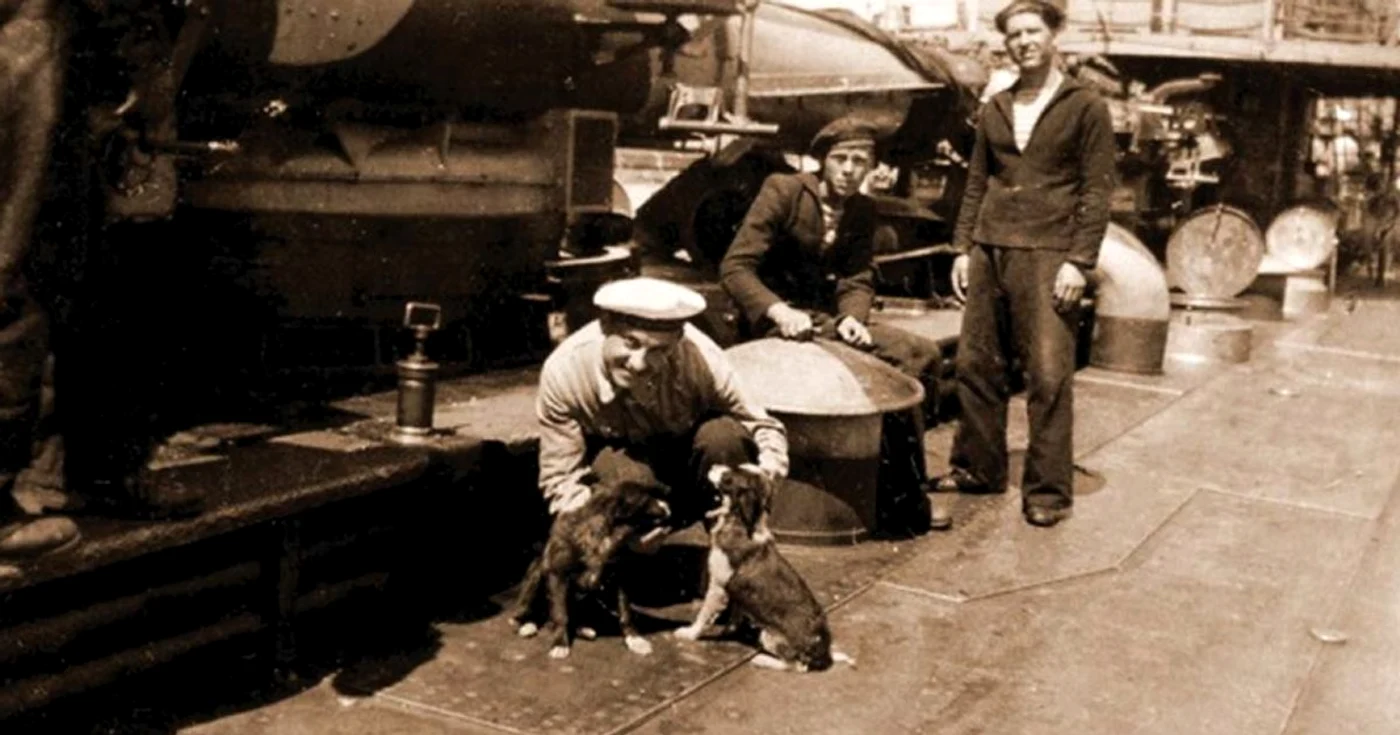 mascote marinari Revista Marina Română 