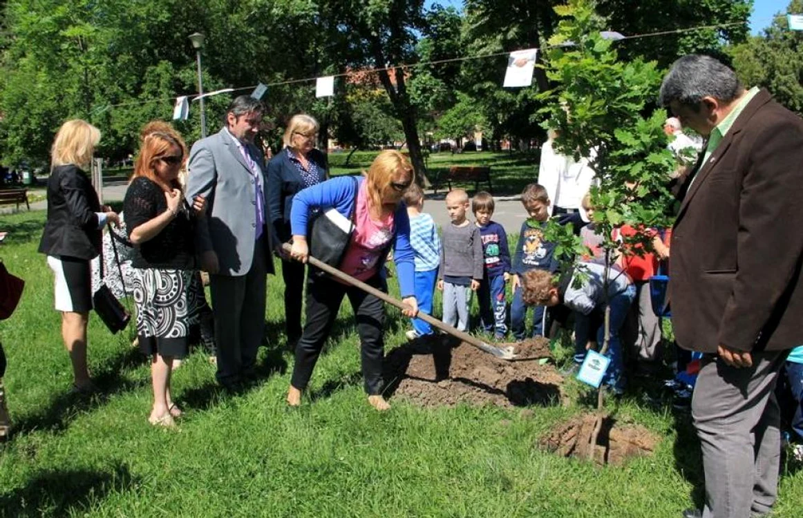 A fost plantat copacul medierii