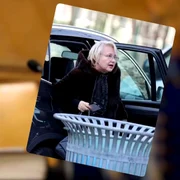 rodica stanoiu nepoata jpeg