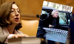 rodica stanoiu nepoata jpeg