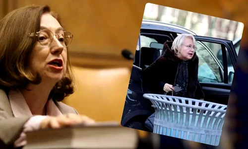 rodica stanoiu nepoata jpeg