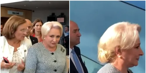 Captura dancila 