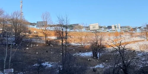 parc fotovoltaic