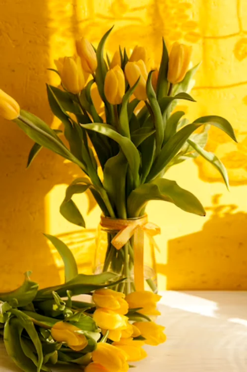 Florile galbene sunt asociate cu despărțirile. / foto: freepik.com