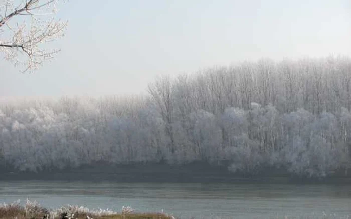 Iarnă în Bărăgan Foto:I.S.