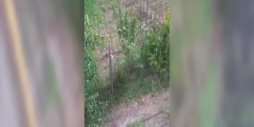 Grindină cât oul de găină, în Dâmboviţa