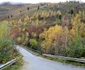 viaduct retezat hunedoara adevarul