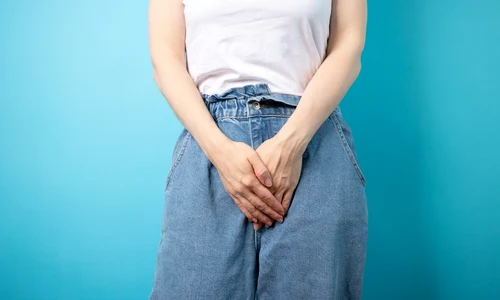 vezica shutterstock 2488971949 jpg