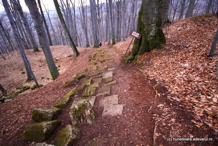 Cetatea Piatra Roşie a fost vandalizată anul trecut de braconieri. FOTO: Daniel Guţă. ADEVĂRUL.