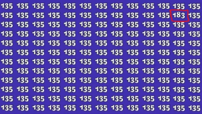 optical illusion answer jpg