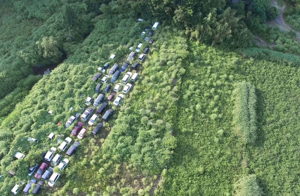 2015. Vegetaţia a inundat oraşele şi a acoperit maşinile abandonate