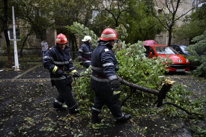 
    Pompierii intervin ca să îndepărteze copacul de pe mașină  