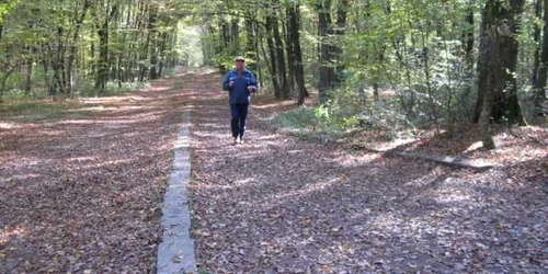Alergare în pădurea din Băile Felix