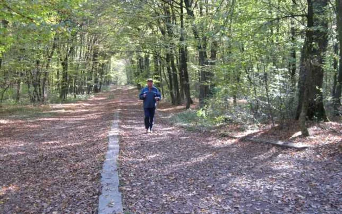 Alergare în pădurea din Băile Felix