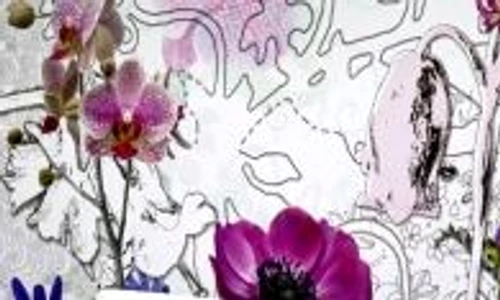 1 46844 original jpg jpeg