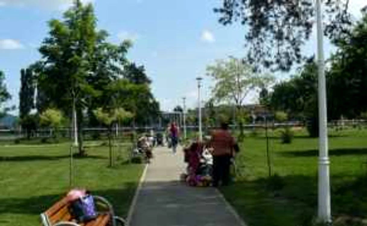 Patrupedele vor avea un loc special