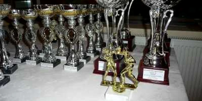 Sportivii vor primi trofeele în 2011