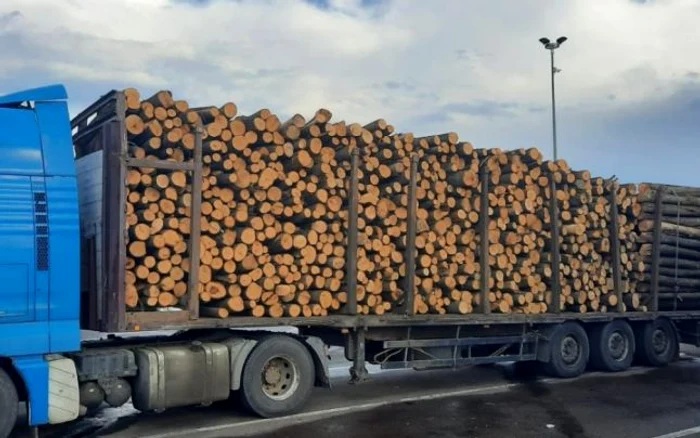 camion
