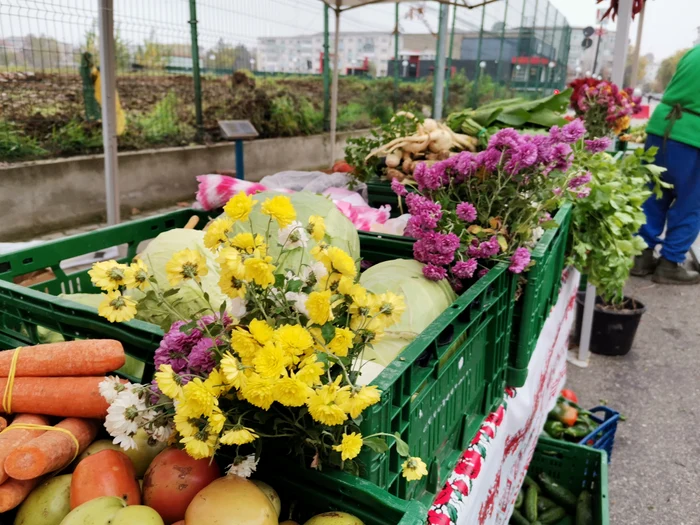 Clientele aucumpărat și florile puse „de design” FOTO: A. Mitran