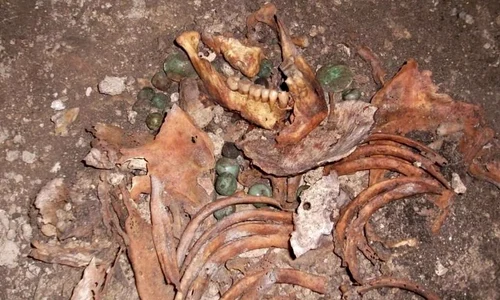 Cum a dispărut civilizaţia Maya jpeg