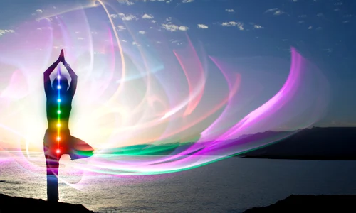 shutterstock 1931899625 jpg