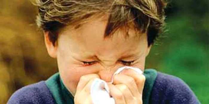 Medicover: Alergiile de toamna