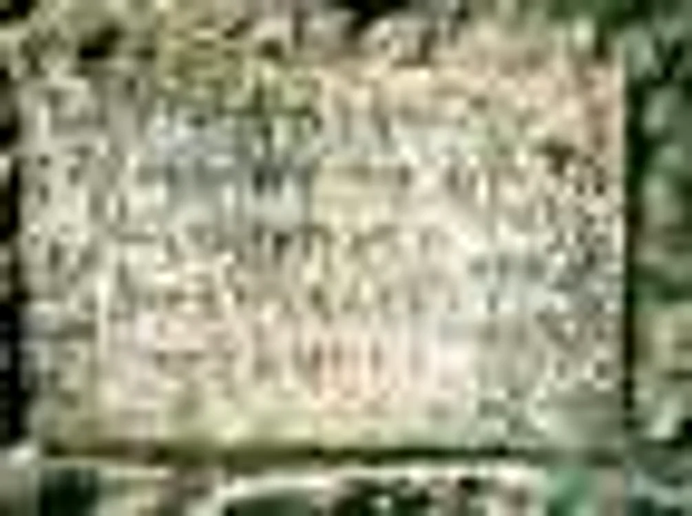 Eastwell: Presupusul mormânt al lui Richard
Plantagenet, mort la 22 decembrie 1550. FOTO Diana Mandache