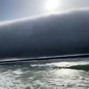 Nori rolă Portugalia FOTO Captură Video 