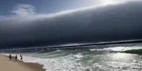 Nori rolă Portugalia FOTO Captură Video 