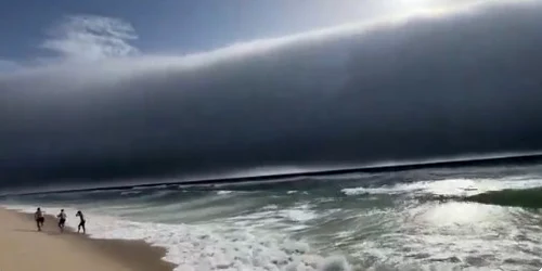 Nori rolă Portugalia FOTO Captură Video 