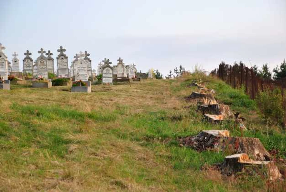 Cimitirul din Brebu Nou