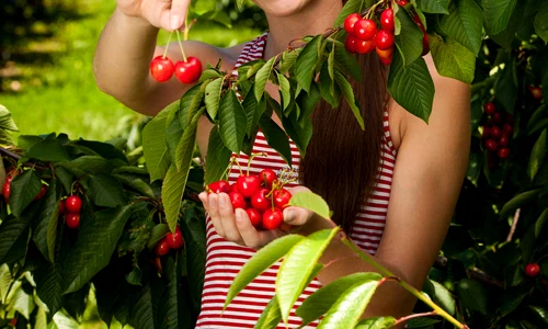 cirese fructmedicament jpeg