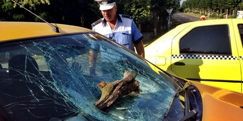 parbriz distrus de o craca rupta din copac. FOTO