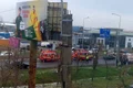 soferita tico timisoara jpg