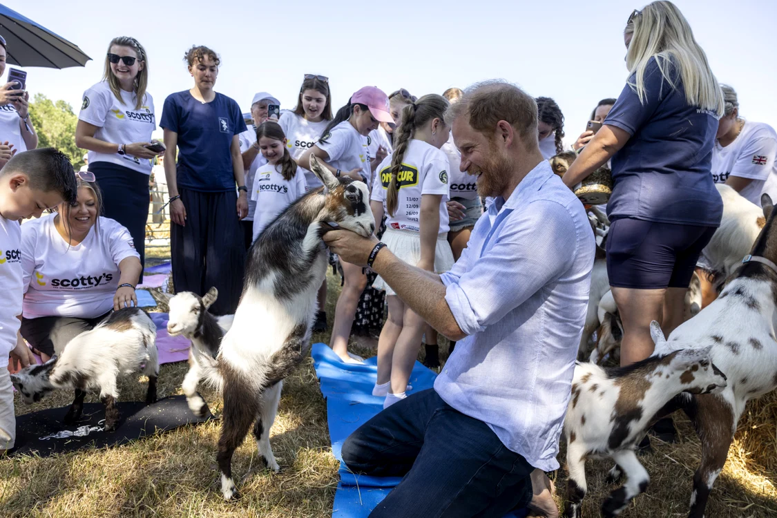 Prințul Harry s-a înțeles de minune cu căprițele (Foto: Profimedia)