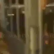 GIF Soci