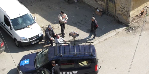 Alexăndrenii nu se tem de legea picnicului