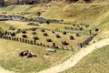 Sarmizegetusa regia  Foto Administrația Sarmizegetusa Regia (10) jpg