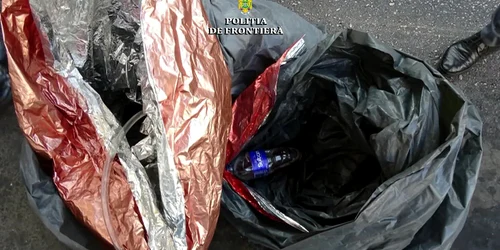 61150a395163ec4271117d21 jpg