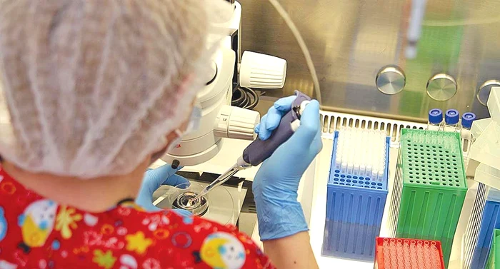 
    Lidia și Dumitru  vor să fie părinţii  Mayei și în acte  