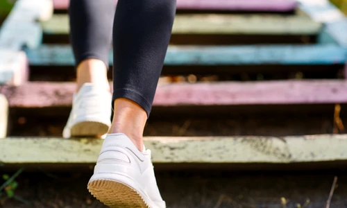 1 shutterstock 737061148 jpg jpeg