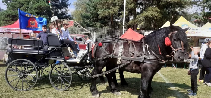 De ce să-şi planifici un sejur la Rucăr.“Posibil loc de naştere al Mioriţei