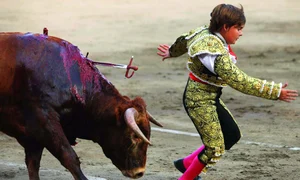 CLIIMA20091109 0210 1 jpeg